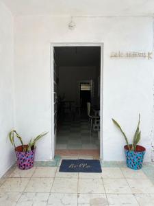 un couloir avec deux plantes en pot dans un mur blanc dans l'établissement La casa de las muñecas, à Mérida