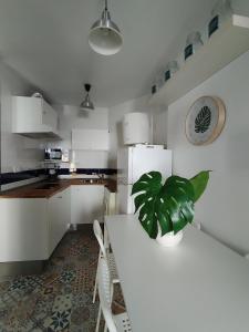 a kitchen with a white table and a plant on it at LA CASA DEL VIENTO ATQ in Antequera