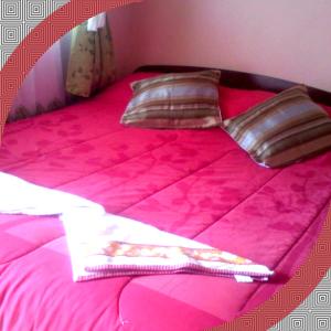 a pink bed with two pillows on top of it at RESIDENCIAL RESTORANT BACIAN in Pozo Almonte