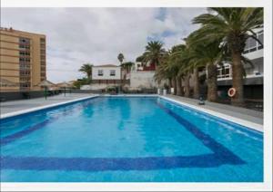 une grande piscine bleue avec des palmiers et des bâtiments dans l'établissement Apartamento en Candelaria, à Candelaria