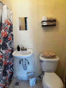 a bathroom with a toilet and a sink at Depa privado en Guadalupe, céntrico y cómodo. in Monterrey