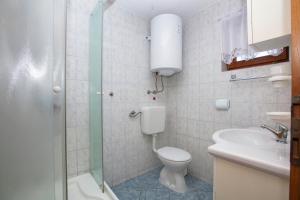 een badkamer met toilet, wastafel en douche bij Apartments with parking space Jezera, Murter - 5133 in Jezera