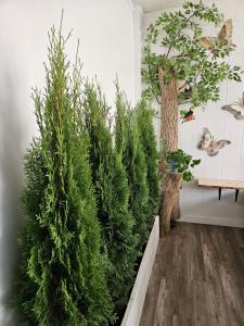 a row of christmas trees in a room at Planet M Hostel in Niagara Falls