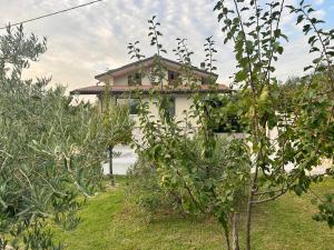una casa en medio de un patio con árboles en Relais 5 Sensi WELLNESS & SPA, en Bagnoli Irpino