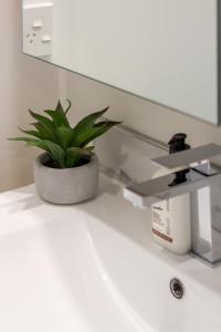 einer Topfpflanze auf einem Waschbecken im Bad in der Unterkunft Garden City Getaway 2 bed with sofa bed 1 bath in Christchurch