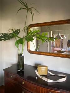 a vase with a plant on a dresser with a mirror at Oceans Classic, pool, 12 pp in Caxias