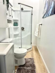 a bathroom with a shower and a toilet and a rug at Hale ‘Aina (Country Cottage) in Keaau