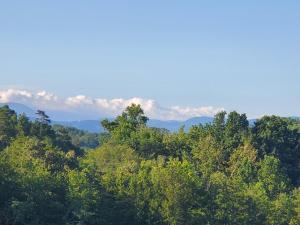 a view of a forest with mountains in the background at Huny Bear Lodge in Pigeon Forge