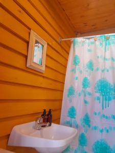 a bathroom with a sink and a shower curtain at Cabaña en Tigre in Tigre