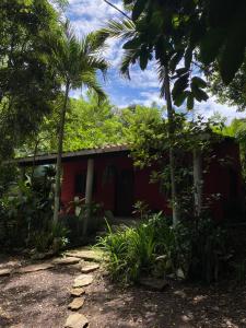 une maison rouge avec des palmiers devant elle dans l'établissement Casa Colibri, à Copan Ruinas