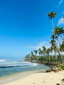 a beach with palm trees and the ocean at Surfing Waves Madiha in Matara