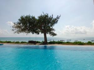 een zwembad met een boom en de oceaan bij Belvedere Resort in Jambiani