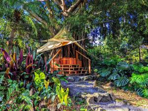 une cabane dans les arbres au milieu d'une forêt dans l'établissement Kehena Mauka Nui Club LGBTQIA+ Clothing Optional, à Pahoa