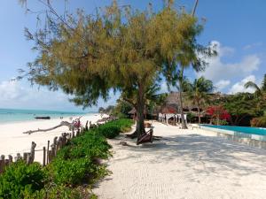 un árbol en la playa junto al océano en Belvedere Resort en Jambiani