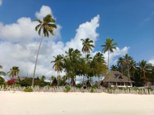 a beach with a fence and palm trees and a house at Belvedere Resort in Jambiani