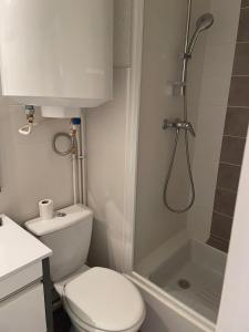a small bathroom with a toilet and a shower at Alpe d Huez 6 pers appart in LʼHuez +5 photos