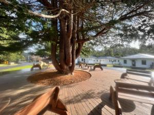 Fotografie z fotogalerie ubytování Giants Table and Cottages v destinaci Maydena