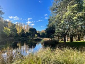 a view of a river with trees and grass at Giants Table and Cottages in Maydena