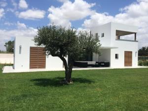 uma casa branca com uma árvore num campo em Casa Solà em Menfi