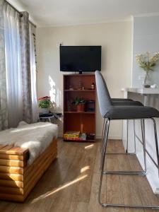 a living room with a chair and a television at Los Mañios in Coihaique