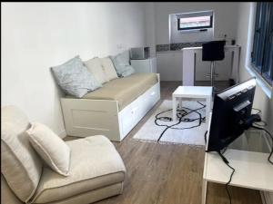 a living room with a couch and a television at la maison des vignes in Bordeaux