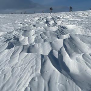 um campo coberto de neve com árvores ao fundo em Ottsjö-Åre Lodge em Ottsjö