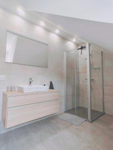 La salle de bains est pourvue d'un lavabo et d'une douche. dans l'établissement Ferienwohnungen Köhler, à Neualbenreuth