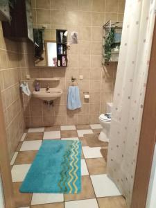 a bathroom with a sink and a toilet and a rug at Schöne Studiowohnung, renoviert, zentrale Lage in Saarlouis +7 photos
