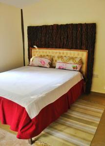 ein Bett mit zwei Kissen auf einem Zimmer in der Unterkunft The Murana Chalet in Nanyuki