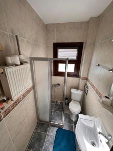 a bathroom with a shower and a toilet and a sink at Historic Wooden House with Bosphorus view in Sarıyer