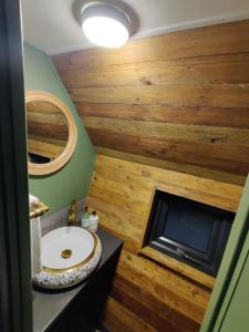 a bathroom with a sink and a fireplace at Glasson Glamping Farm in Athlone