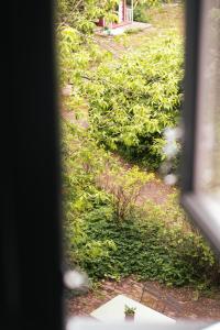 Jardin de l'établissement Rye115 Hotel
