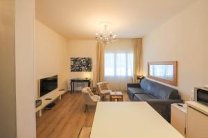 a living room with a couch and a tv at Annecy apt w car park near downtown and lake in Annecy