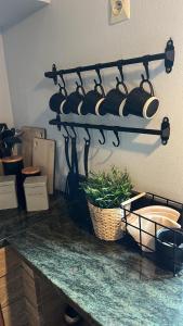 a bunch of pots and pans on a shelf in a kitchen at Śnieżnicki Domek - Masyw Śnieżnika, Sudety in Stronie Śląskie