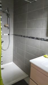 a bathroom with a shower and a white sink at Maison 4 pièces, 3 chambres avec Jardin et Terrasse in Lisses