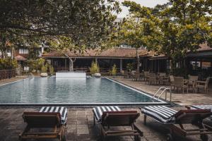 Bazen u ili blizu objekta Tree of Life Nature Resort