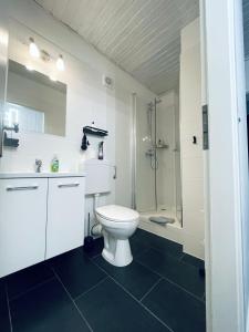 ein weißes Bad mit einem WC und einer Dusche in der Unterkunft Einliegerwohnung in Taunusstein Bleidenstadt in Taunusstein