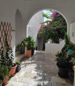 an alley with potted plants and an arch with flowers at Villa Dioni in Kamari