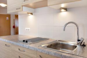 a kitchen with a sink and a counter top at Hilber App Furchetta Small in Villnoss