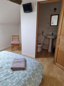 1 dormitorio con cama, lavabo y aseo en les glycines en Saint-Marien