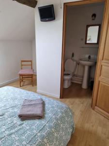 a bedroom with a bed and a sink and a toilet at les glycines in Saint-Marien