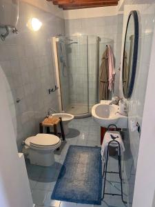 a bathroom with a sink and a toilet and a shower at Palazzo Collesi in Città di Castello
