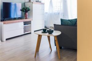 Televízia a/alebo spoločenská miestnosť v ubytovaní Apartament w Kamienicy na Kłodzkiej