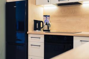 Kuchyňa alebo kuchynka v ubytovaní Apartament w Kamienicy na Kłodzkiej