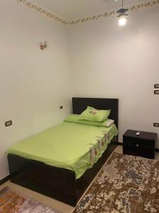 1 dormitorio con 1 cama con edredón verde en Poseidon Luxury Apartments, en Hurghada
