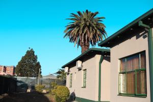 a palm tree in front of a house at De Ellas Boutique Lodge in Polokwane