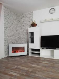 a living room with a fireplace and a tv at Ferienwohnung Bergwiese in Schwarzenbach am Wald