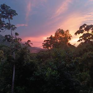 a sunset over a forest with trees in the foreground at Casa Margarita in Santa Marta