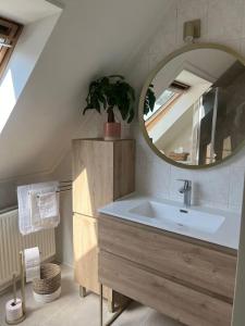 bagno con lavandino e specchio di Villa June Rosy a Wijchen