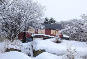 Mountain View Totoro - spacious & sunny during the winter